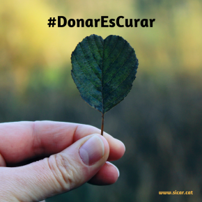 DonarEscurar