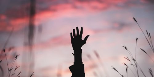 El Drets Humans, la nostra reivindicació diària des de fa anys