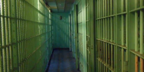 Conèixer per transformar V: Criminalitat Forçada